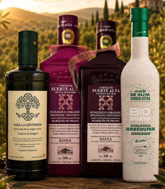 Sélection d'huiles d'olive écologiques andalouses