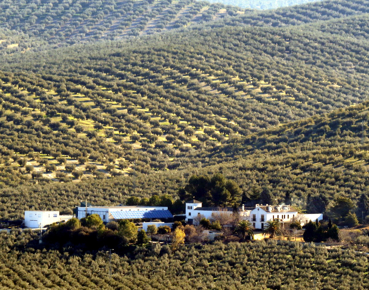 Cortijo Suerte Alta estate