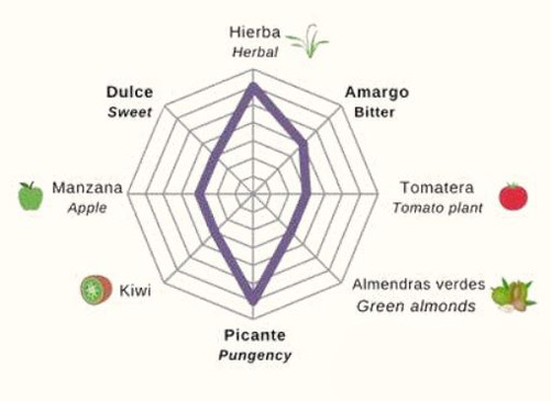 Taste of organic olive oil
