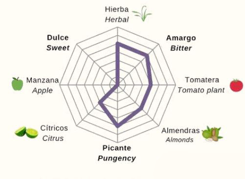 Cata de aceite de Oliva