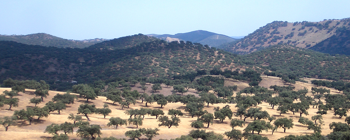 Spanish Sierra