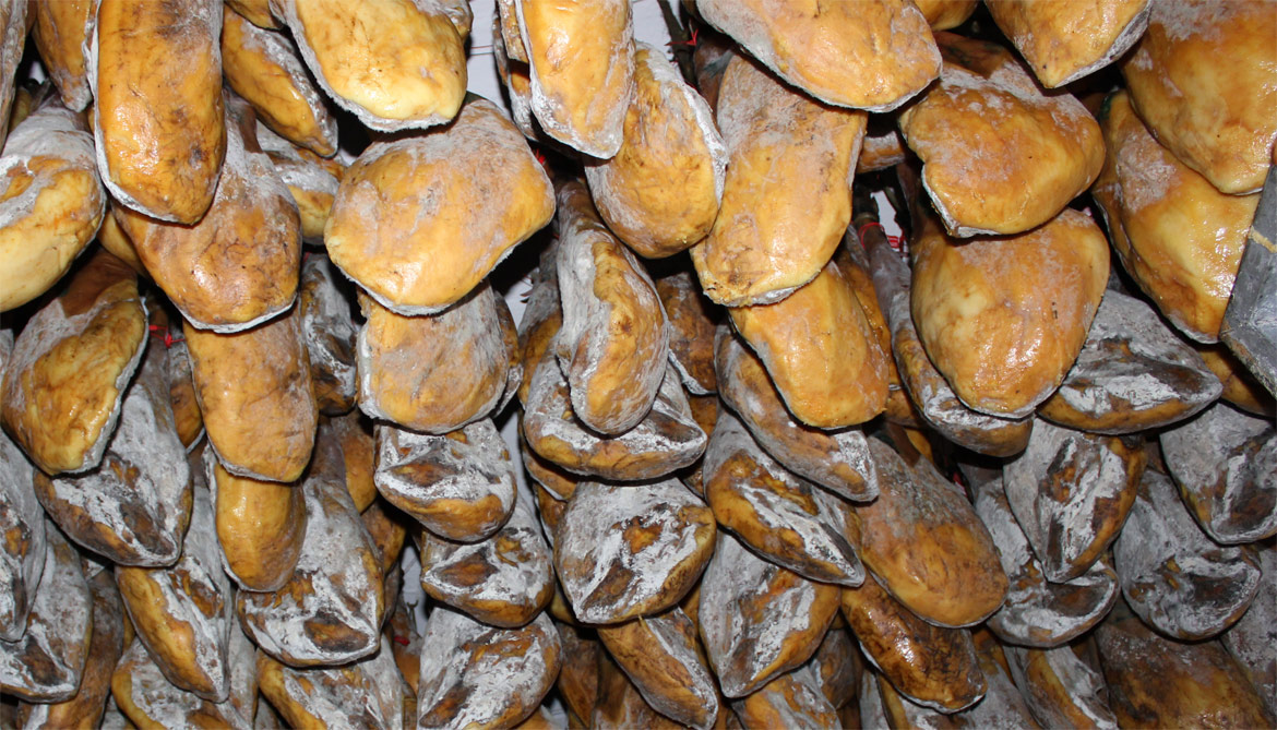 Spanish ham cebo de campo