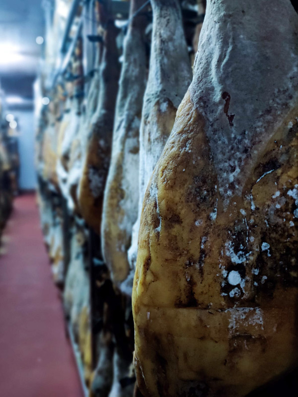 Jambon bellota DO Jabugo 2023