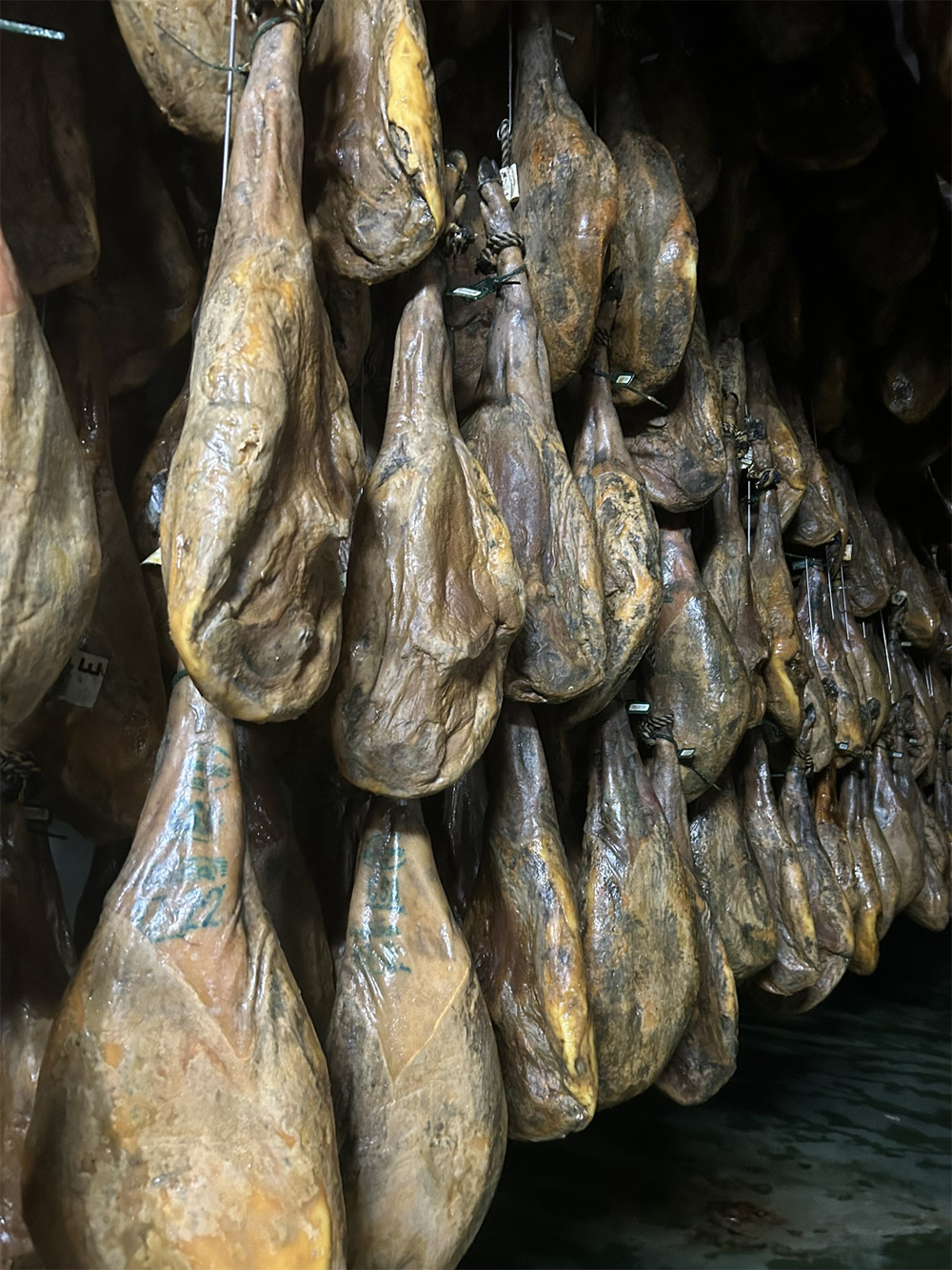 Jambon 100% ibérique de bellota en fin d'affinage