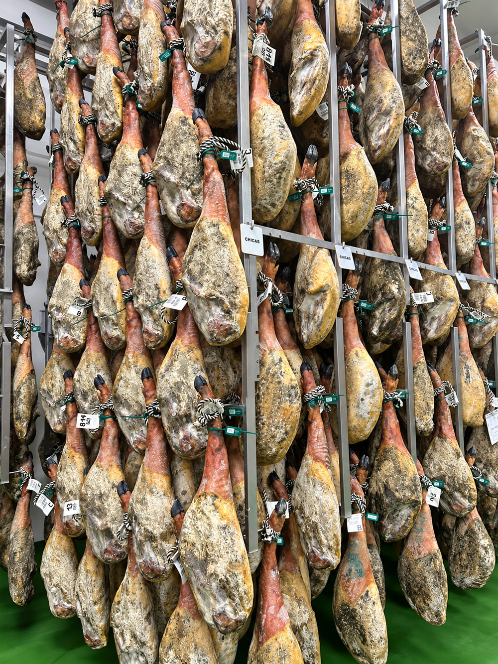 Jambon ibérique de cebo de campo en cave en juin 2026