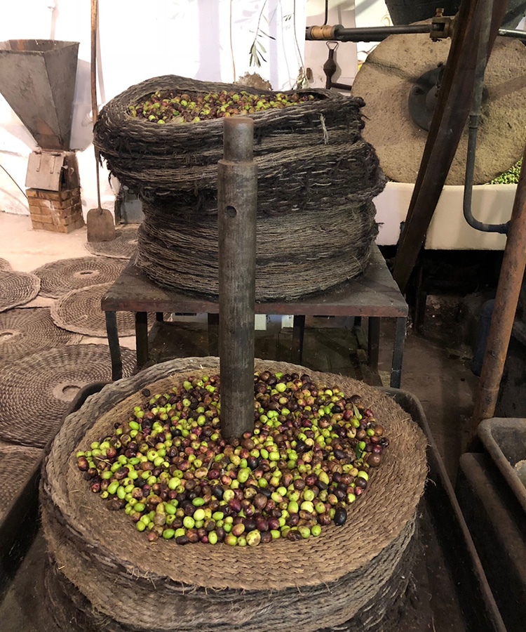 old methods of extraction of olives