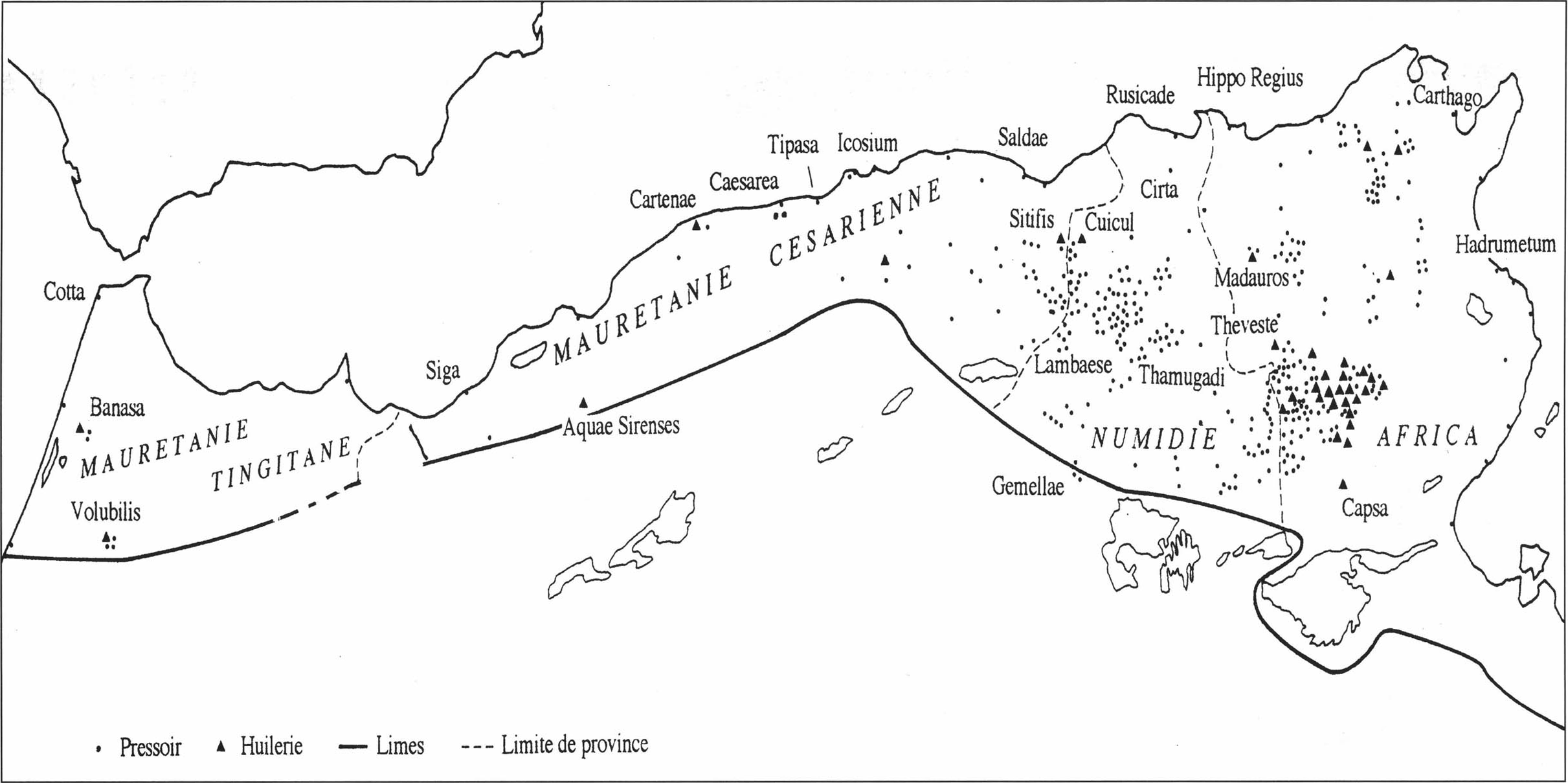 Olivos en la Africa romana