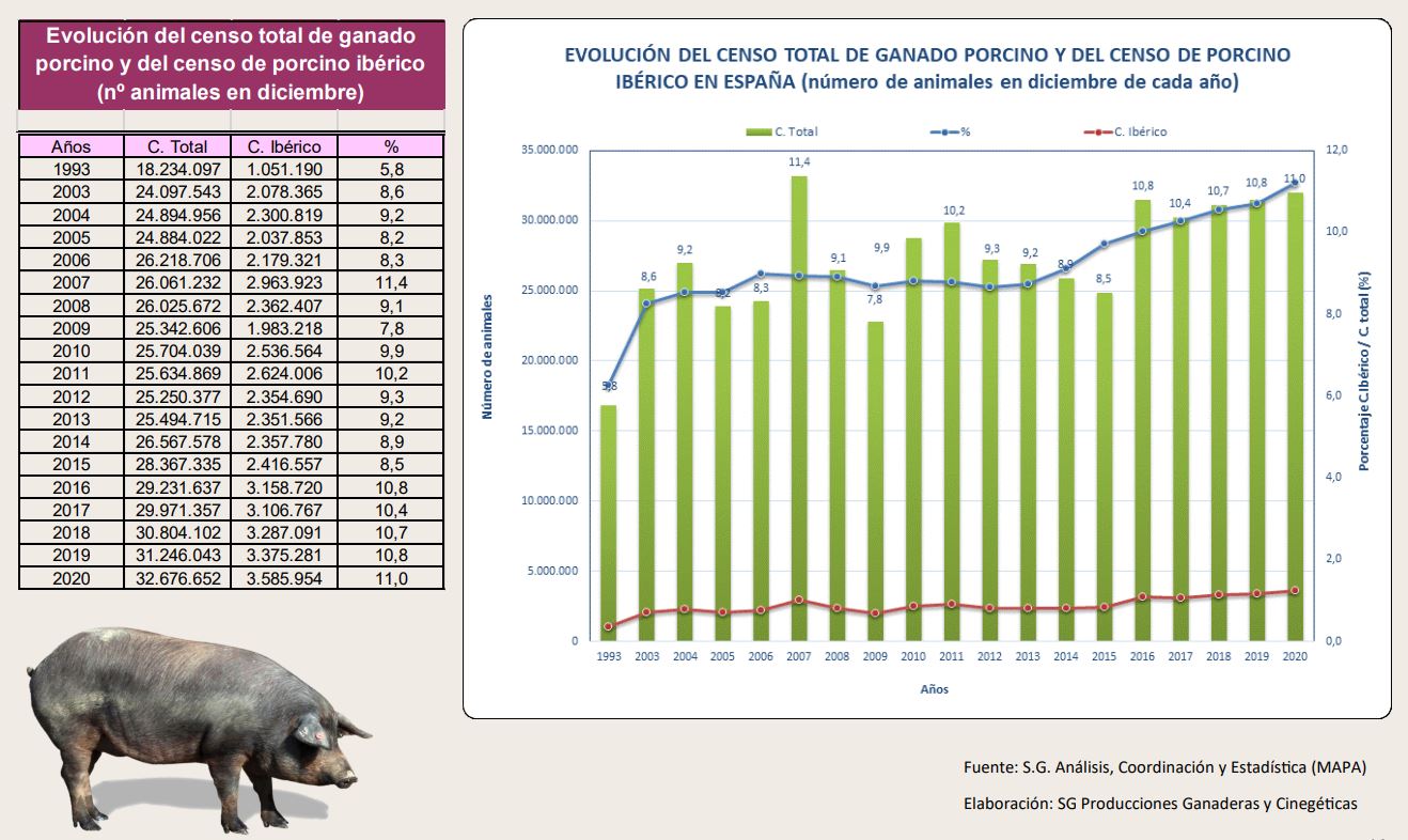évolution du total de cochons en Espagne