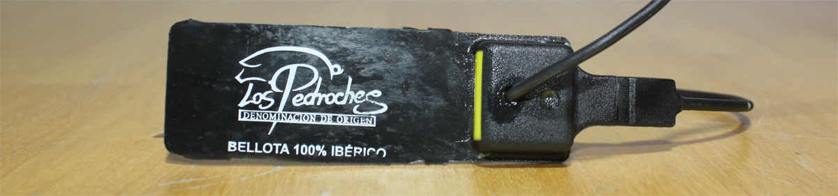 brida negra jamon