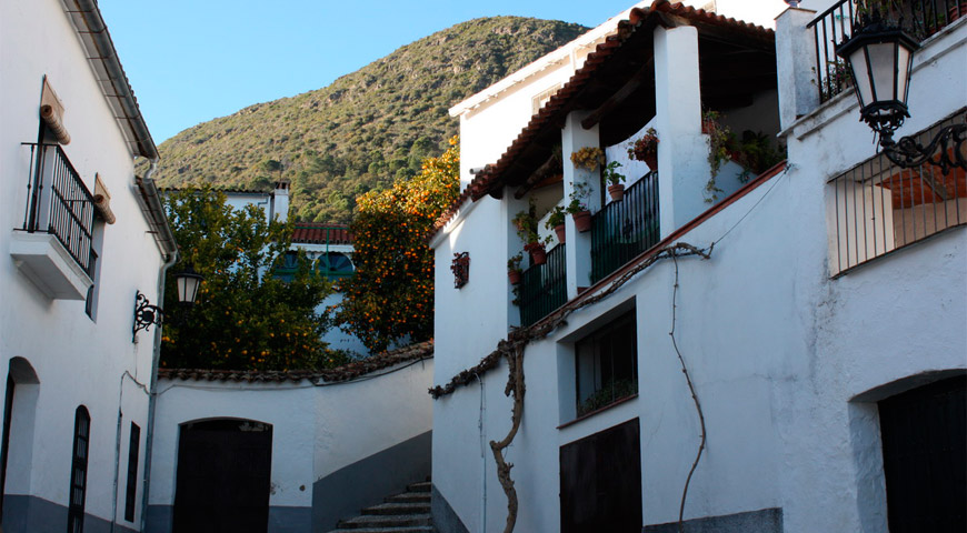 Linares, town hall square