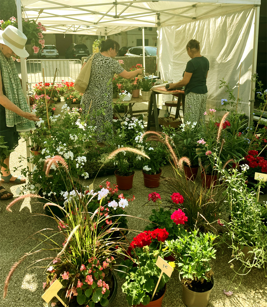 florist at the Condom market