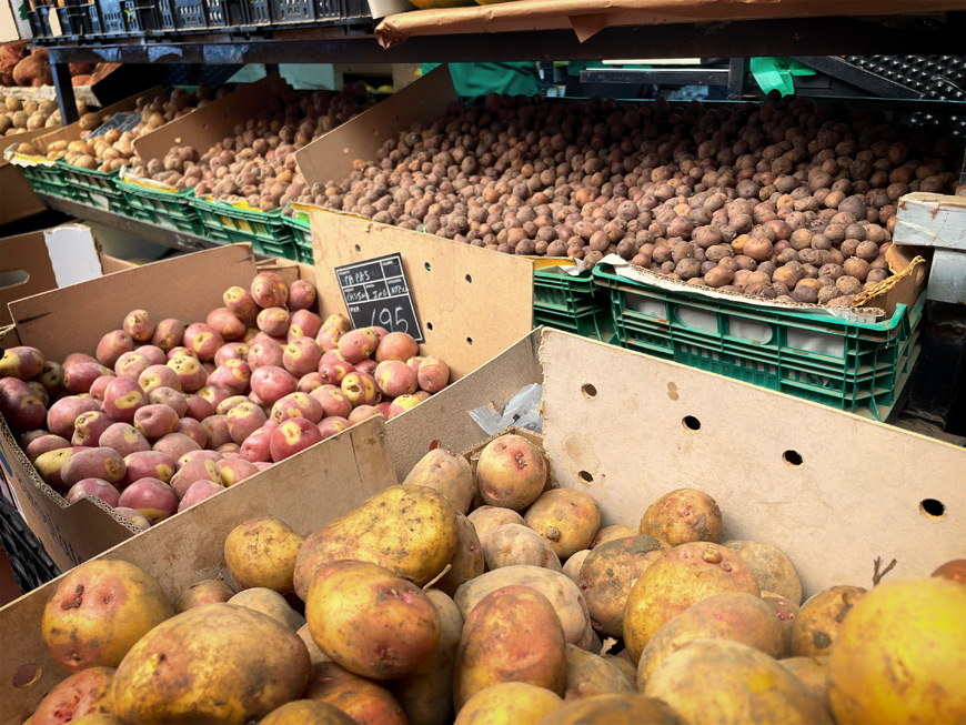 Papas canarias