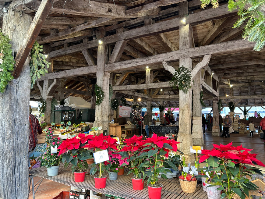 Halle de Villereal - flores del mercado