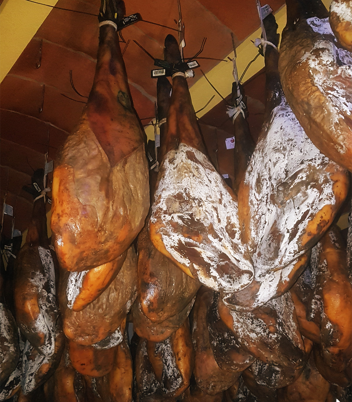 jamón bio espagnol