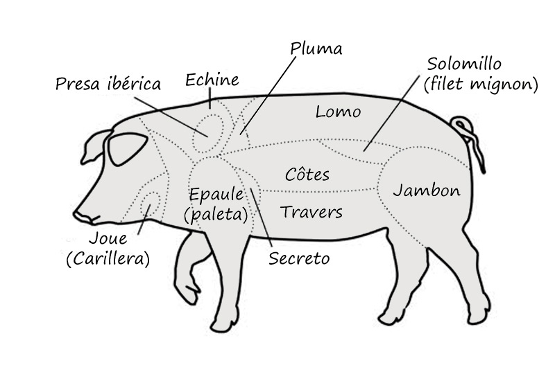 Iberian pork meat