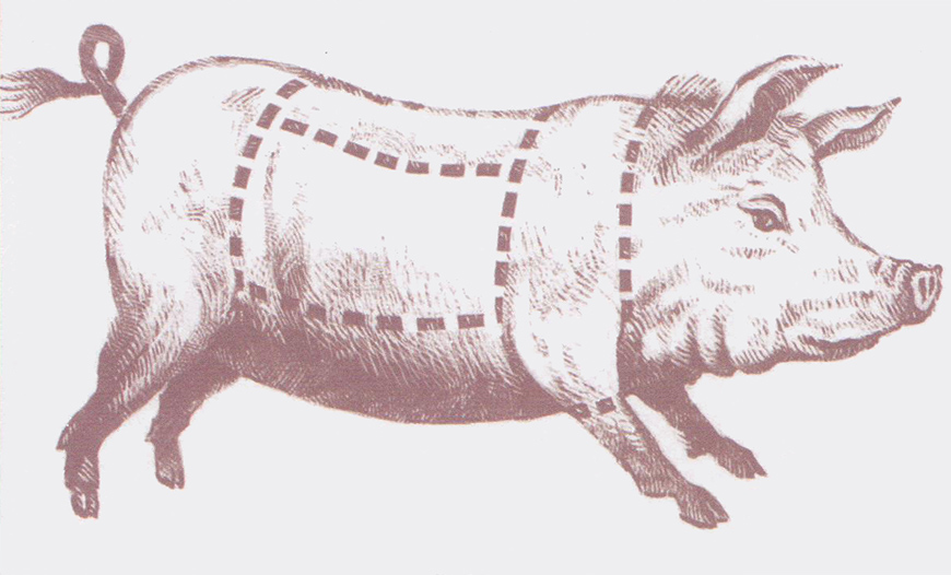 Recipes with Iberian pork meat