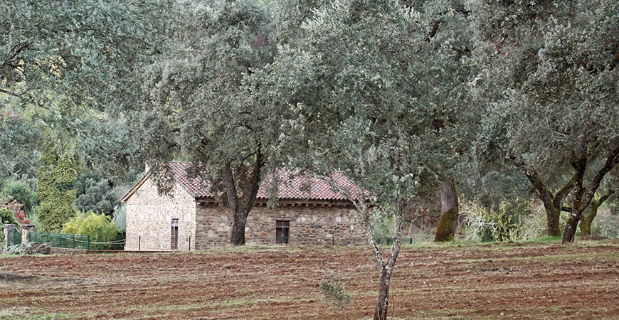 Where to stay in the Sierra de Aracena? TAPAS shop
