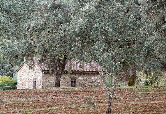 ¿Dónde alojarse en la Sierra de Aracena? TAPAS shop